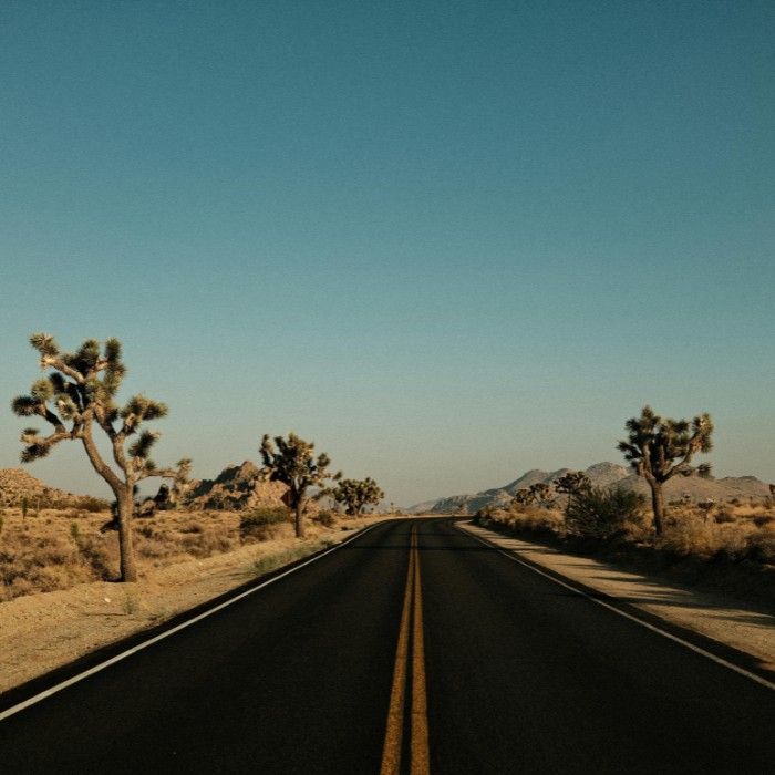 Adventure in Joshua Tree National Park