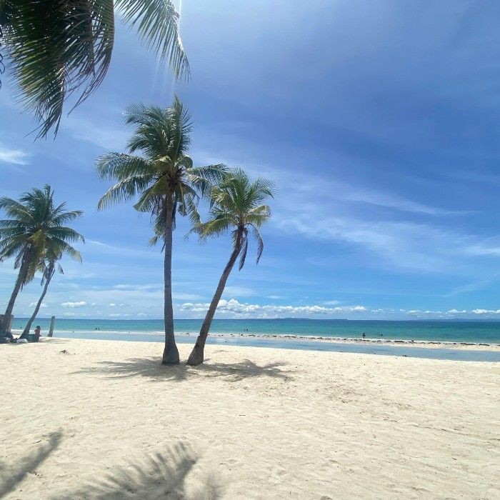 Sway to the Rhythms of Cebu