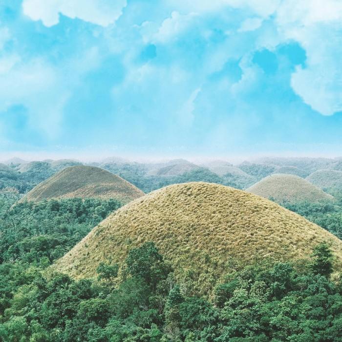 Taste Local Hospitality in Bohol