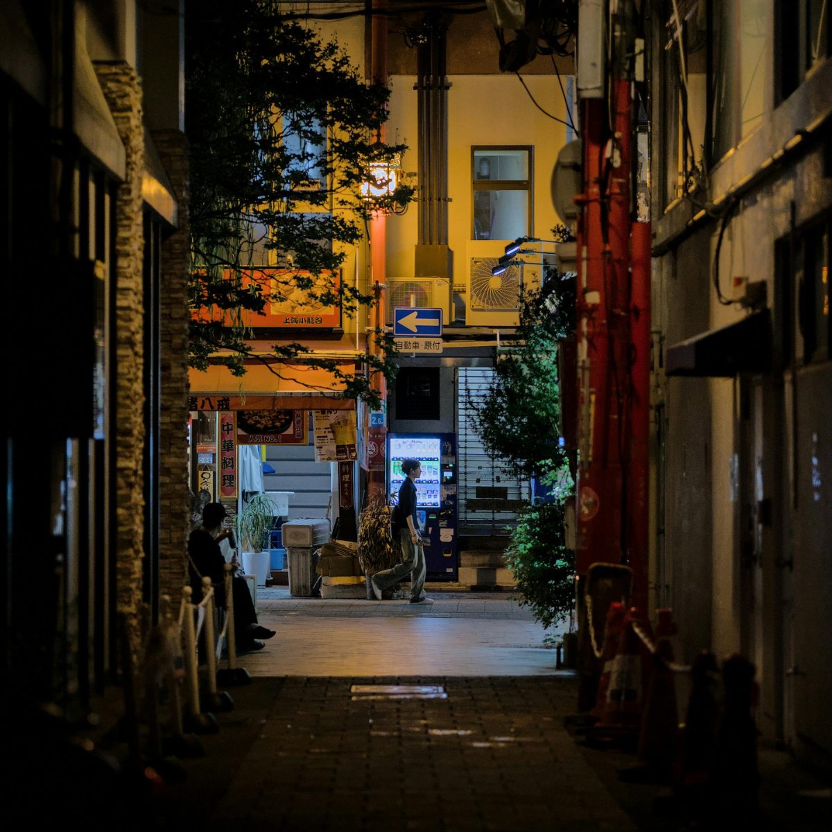 Discover Tokyo’s Street Food and Shrines