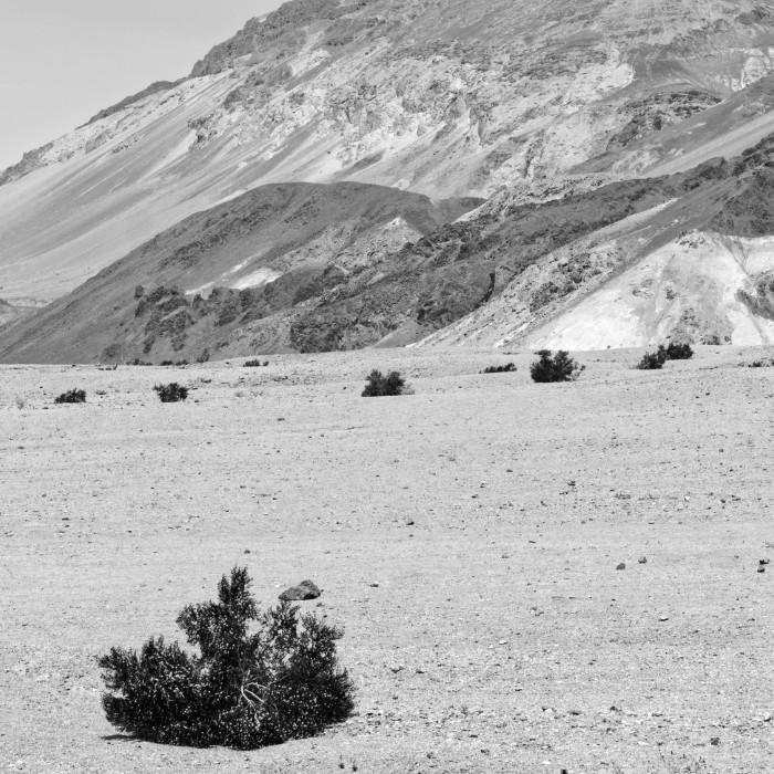 Through the Heart of Death Valley