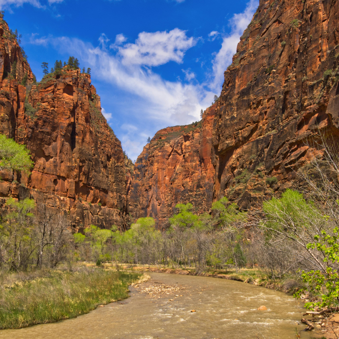 Journey to Kings Canyon