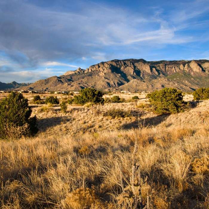 Arrive in Albuquerque
