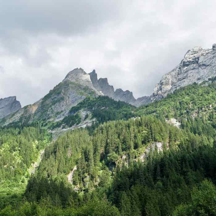 Venture to Gruyères and Lavaux