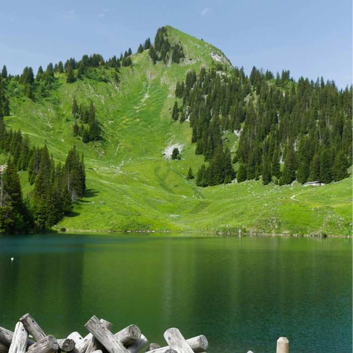 Explore the Sights of Lake Brienz