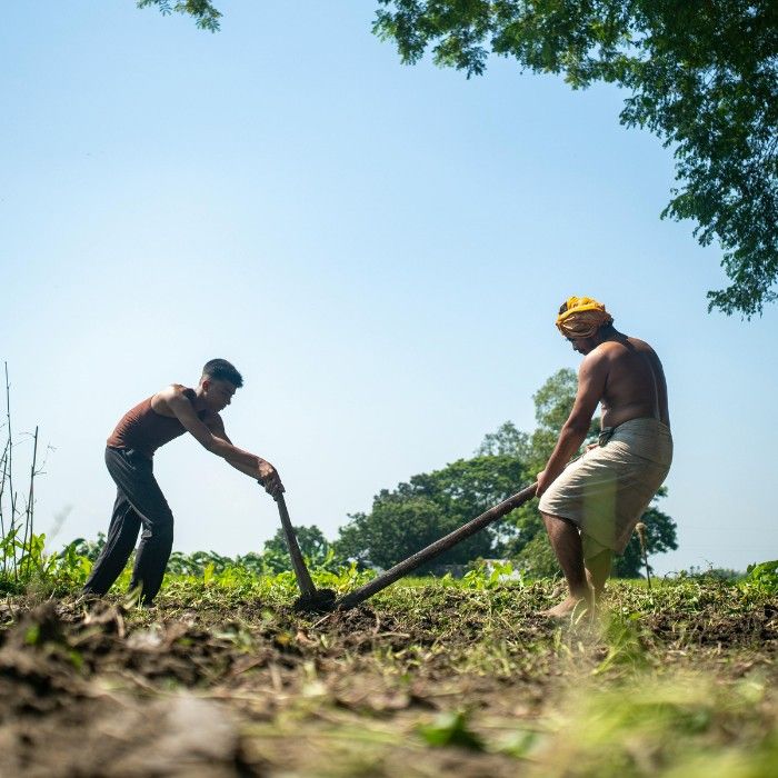 Local Life in Hoi An