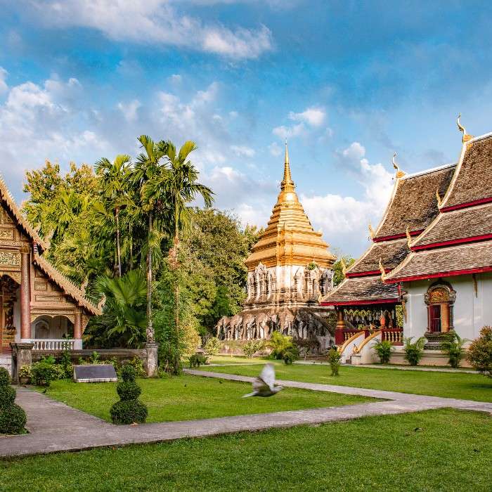 Meet the Monks of Chiang Mai
