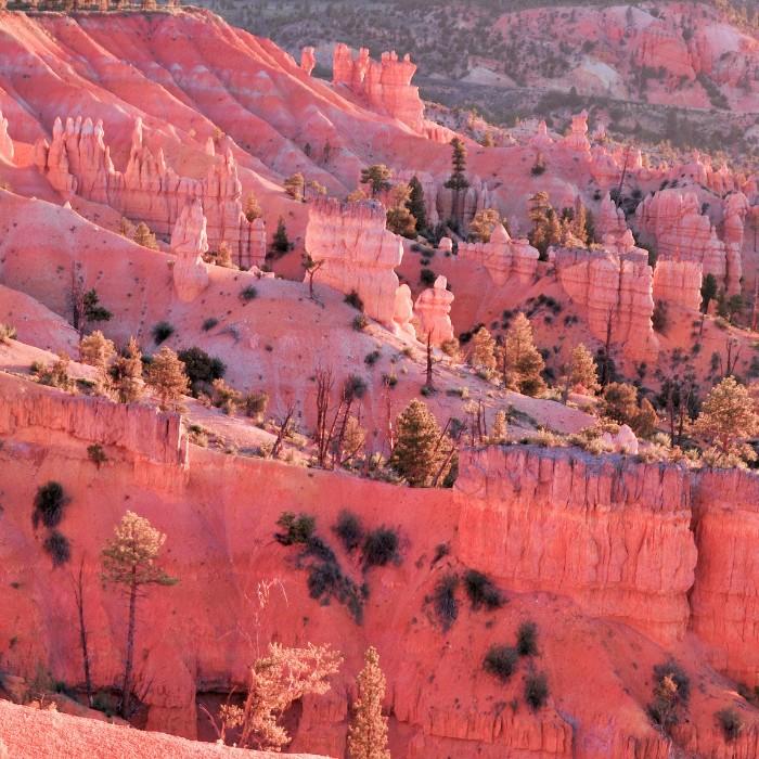 Stretch Your Legs in Bryce Canyon