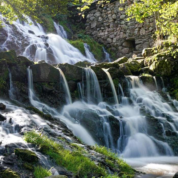 Nature & Waterfalls in North Conway