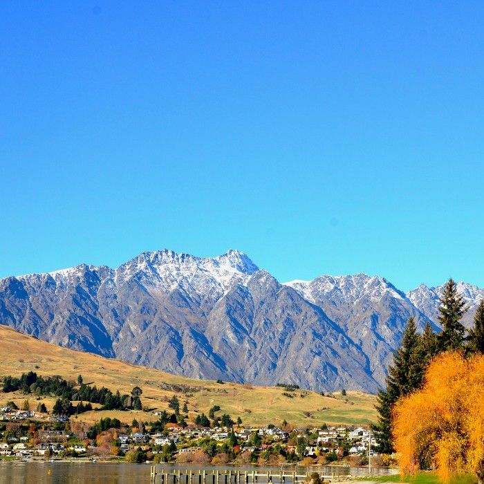 Your Choice in Queenstown