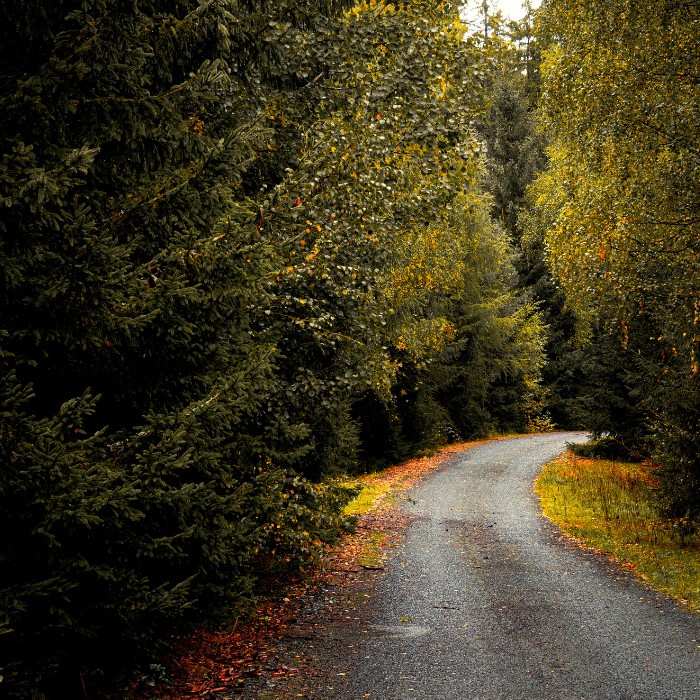 Queenstown, Your Way