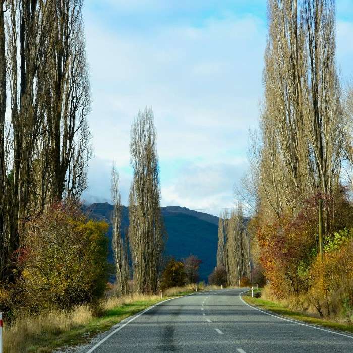 Take Off to Adventure in Queenstown