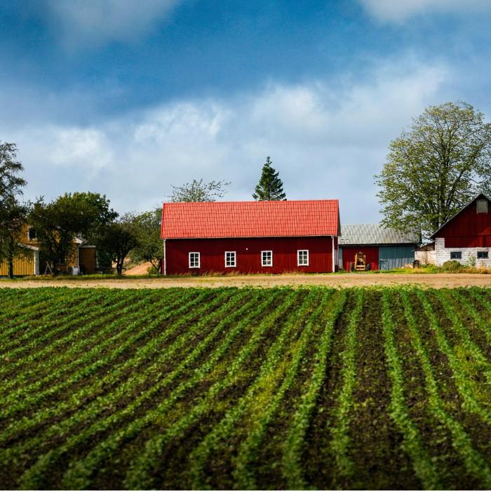 A Taste of Farm Life