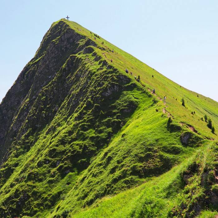 Top End Capital, Darwin