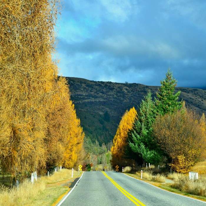 Queenstown, Adventure Central