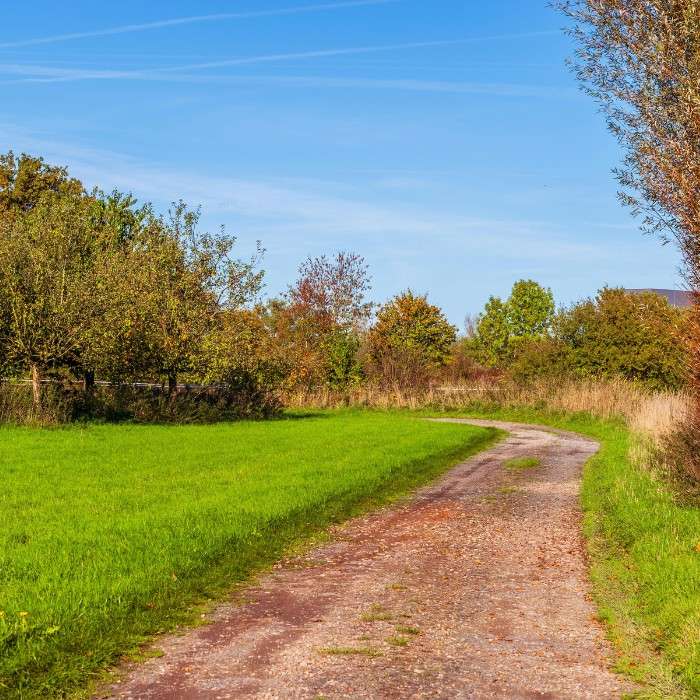 Through Wine Country to Naracoorte