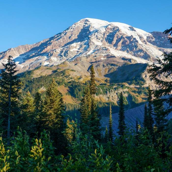 Marvel at Mount Robson