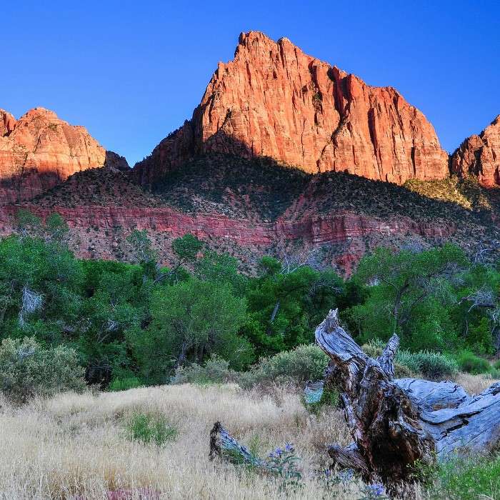 Ride Through Colorful Zion National Park