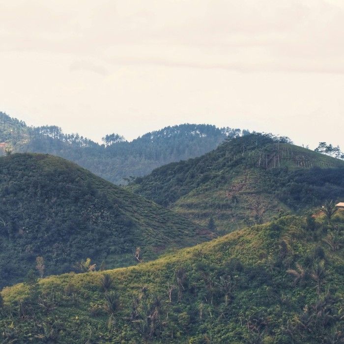 Big Sky Country and Cody’s Wild West
