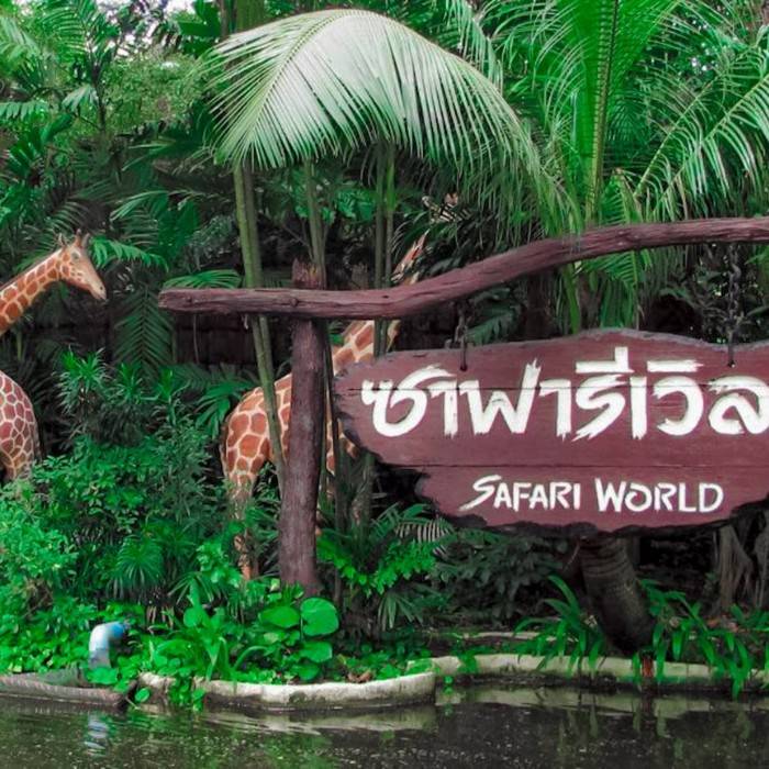 Safari World Adventure