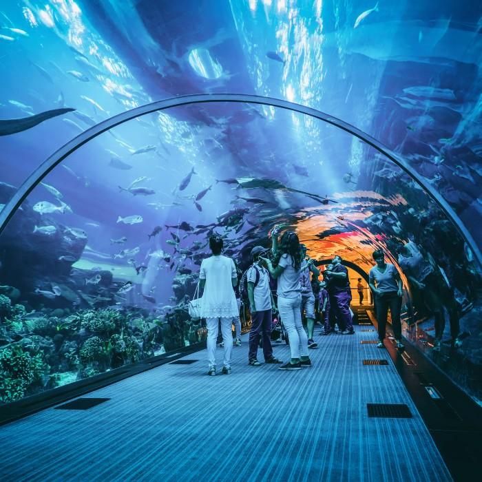 Dubai City Tour + Burj Khalifa + Aquarium