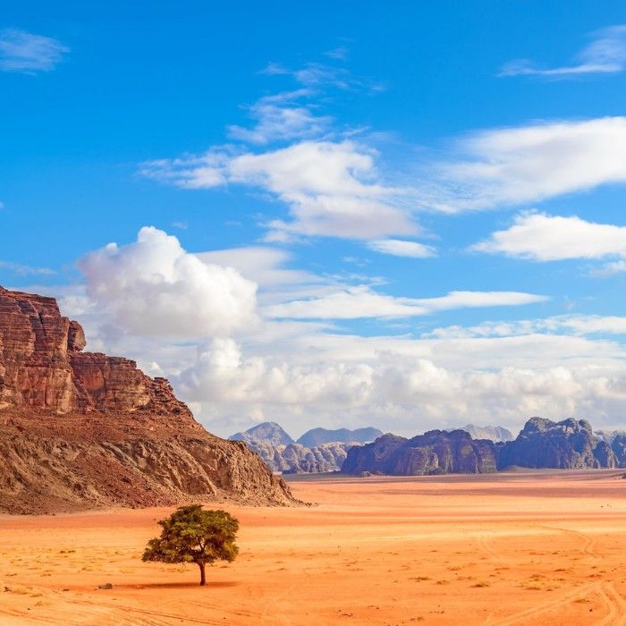 A Desert Landscape Wadi Rum