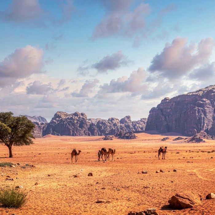 Petra → Little Petra → Wadi Rum