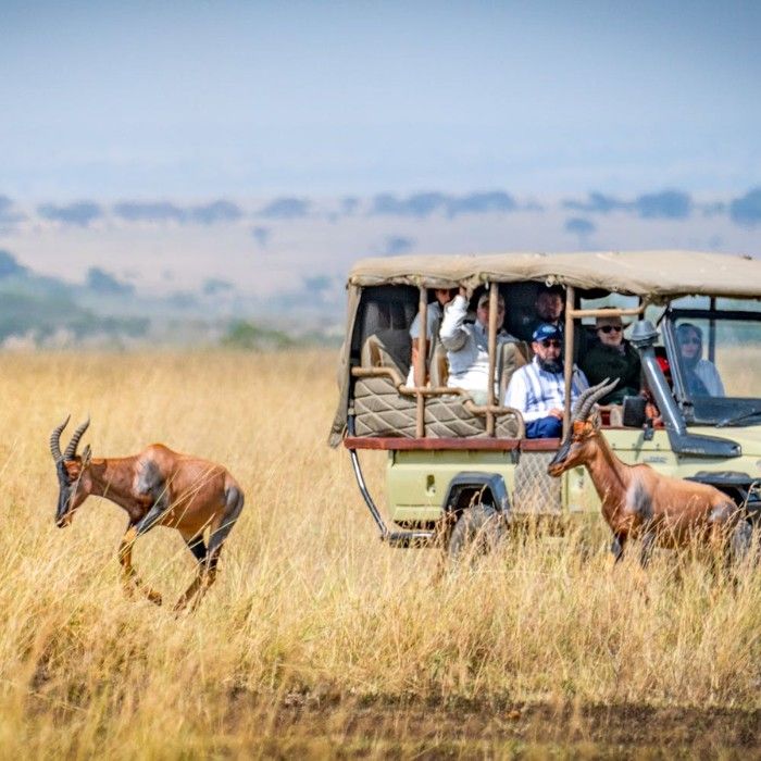 Naivasha to Masai Mara