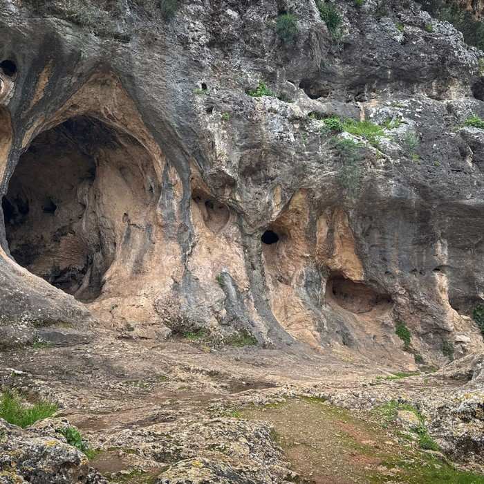 Masai Mara to Nairobi