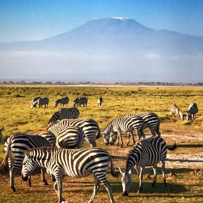 Amboseli National Park