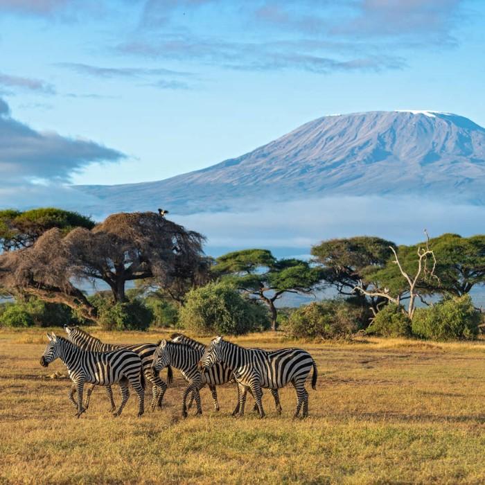 Nairobi to Amboseli