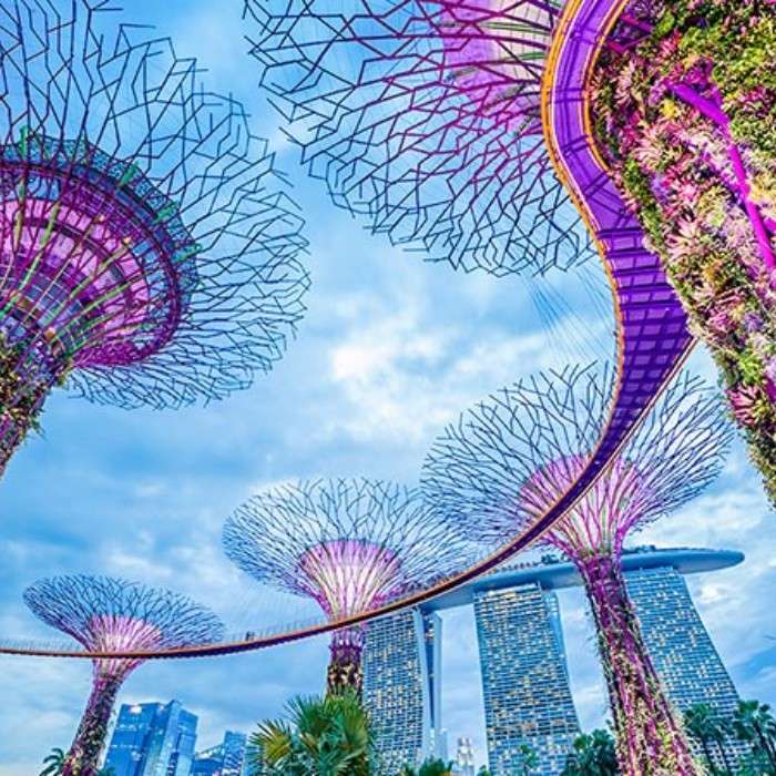 Journey to Singapore