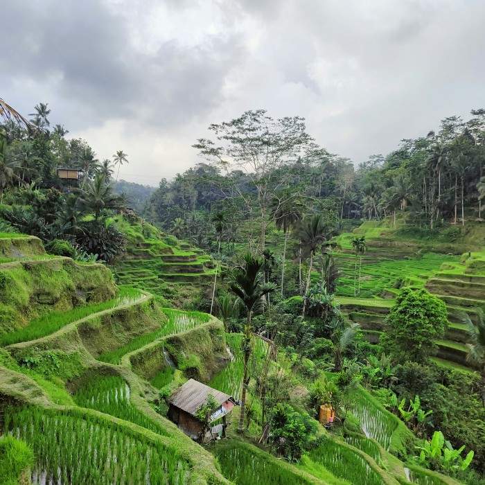 Ubud – Nature, Culture & Volcano Views