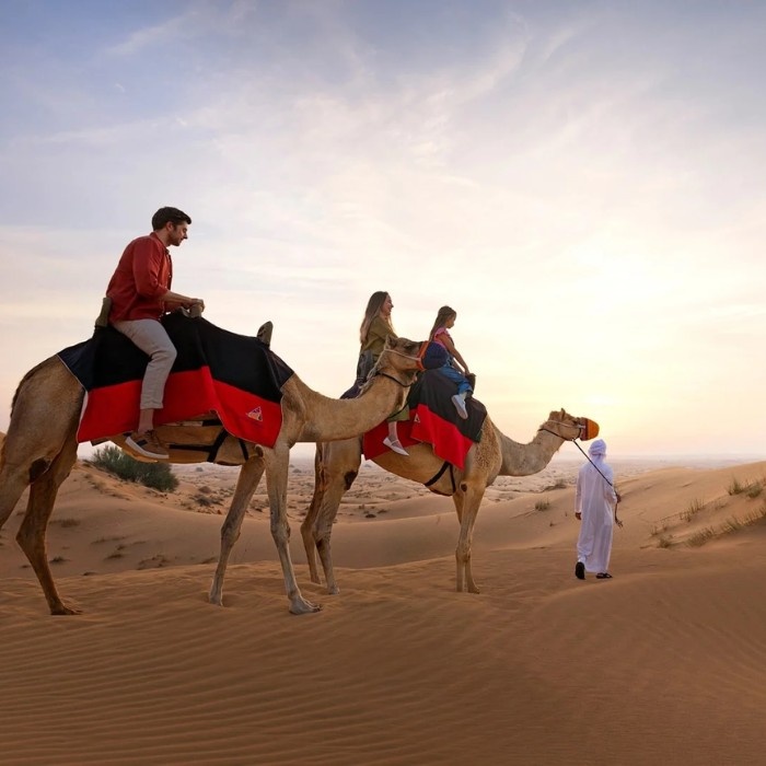 Safari and city tour