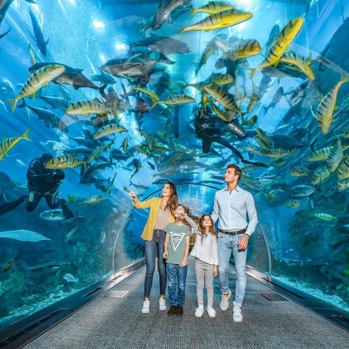 Museum, Aquarium & Burj Khalifa