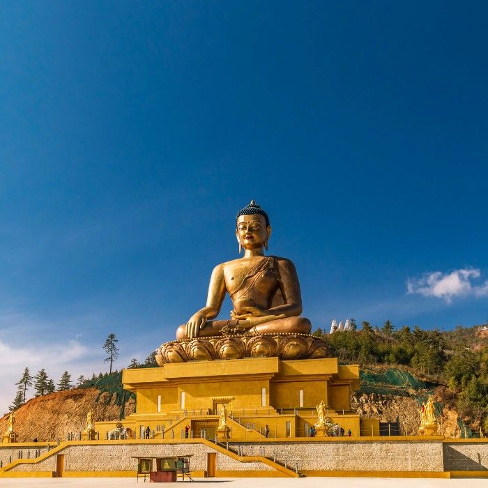 Cultural Immersion in the Capital