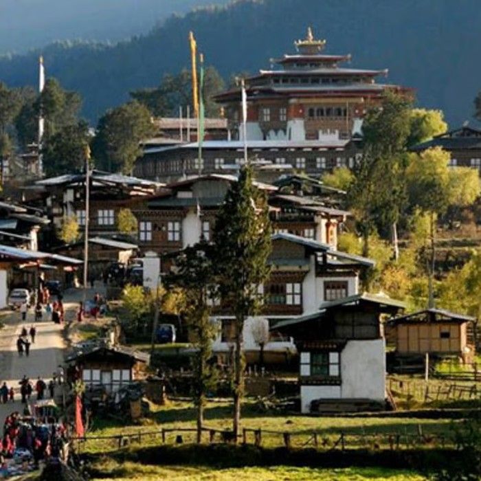 Gangtey Valley Walks