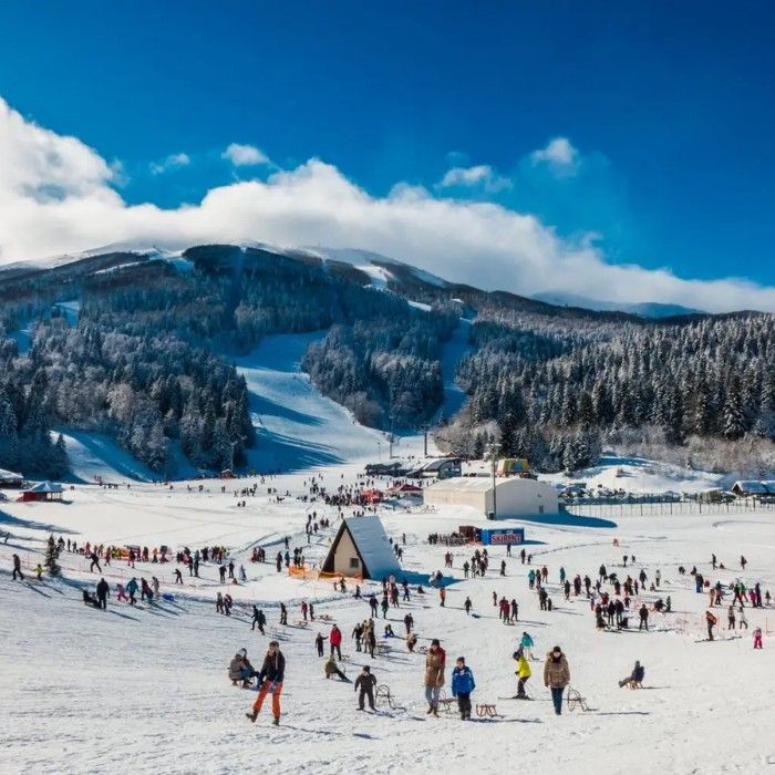 Olympic Mountains Experience