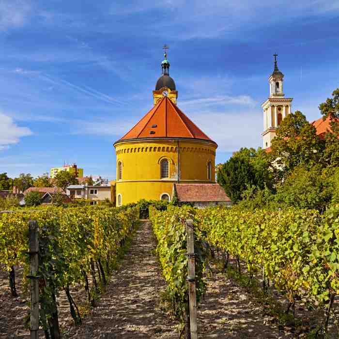 Little Carpathian Wine Trail