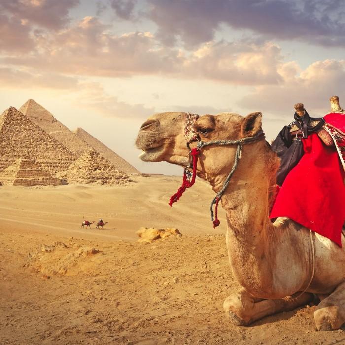 Return to the Capital