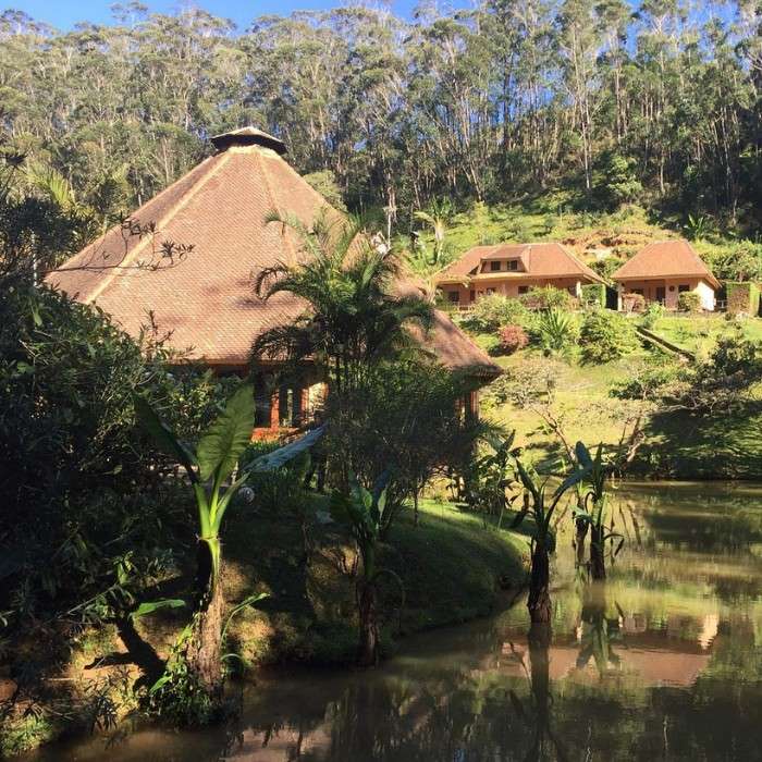 Into the Rainforest & Night Secrets