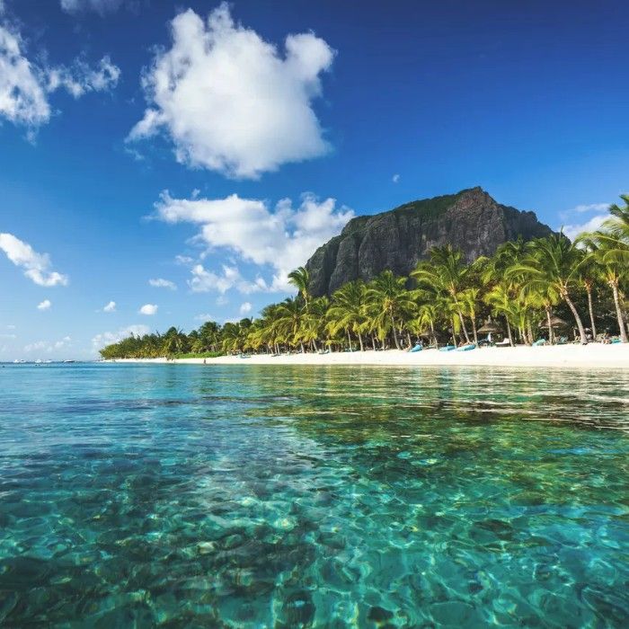 Arrival & Tropical Welcome