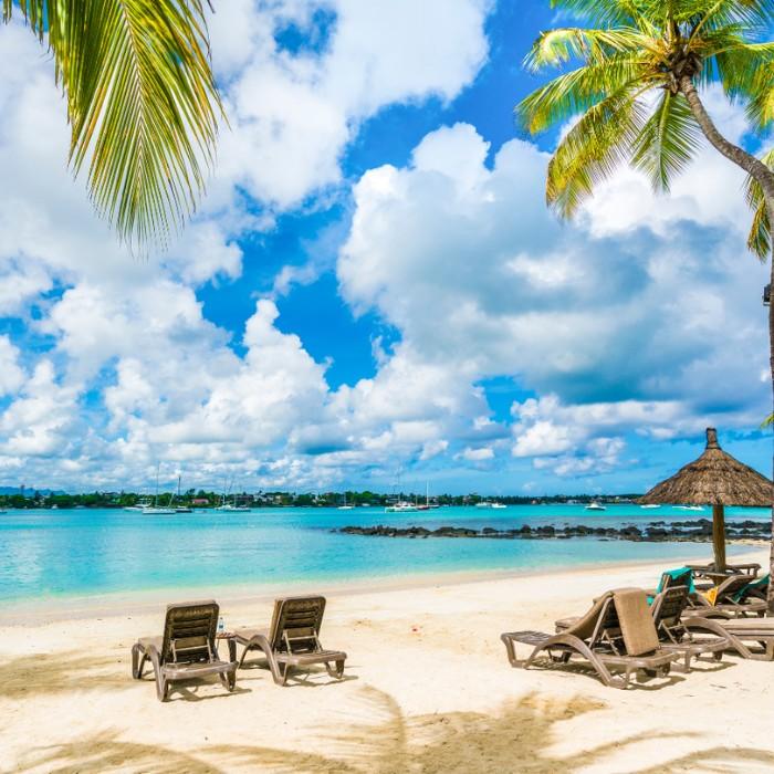 Island Discovery by Private SUV