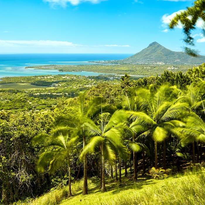 South Mauritius Scenic Experience