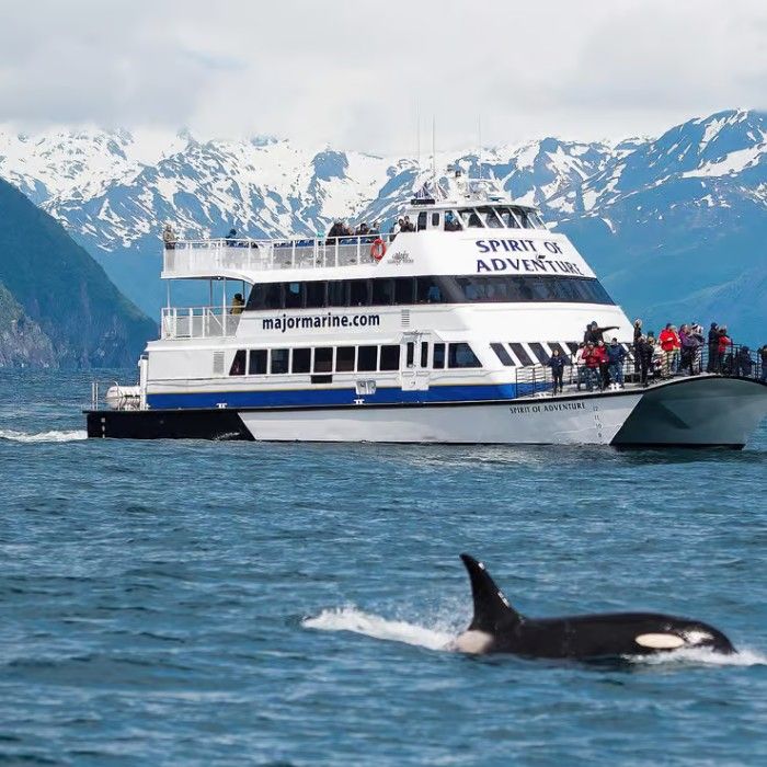 Kenai Fjords National Park – Glaciers & Wildlife Cruise