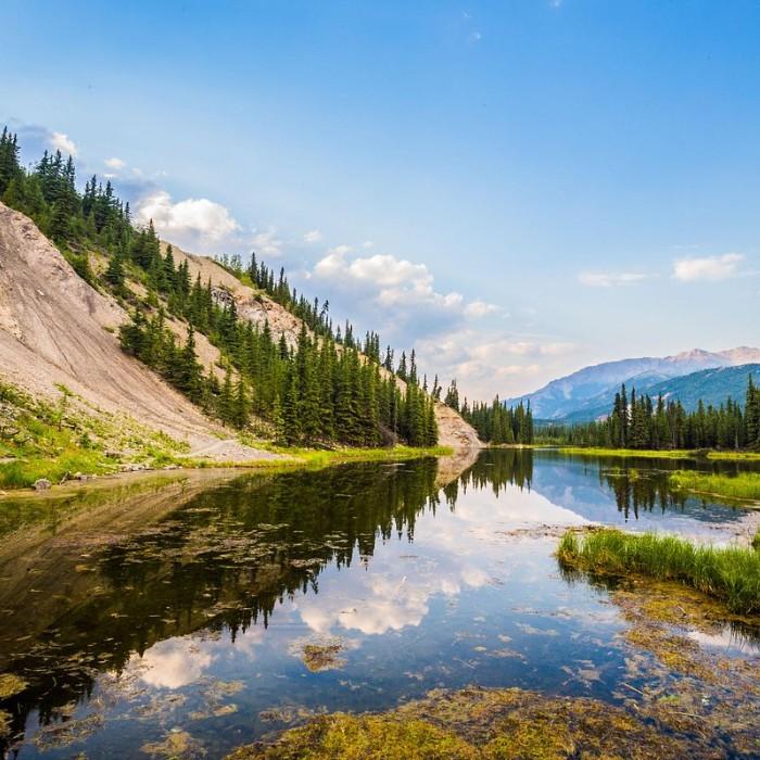 Denali National Park – Wildlife Safari