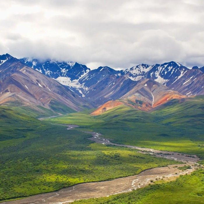 Denali to Anchorage – Farewell Celebrations