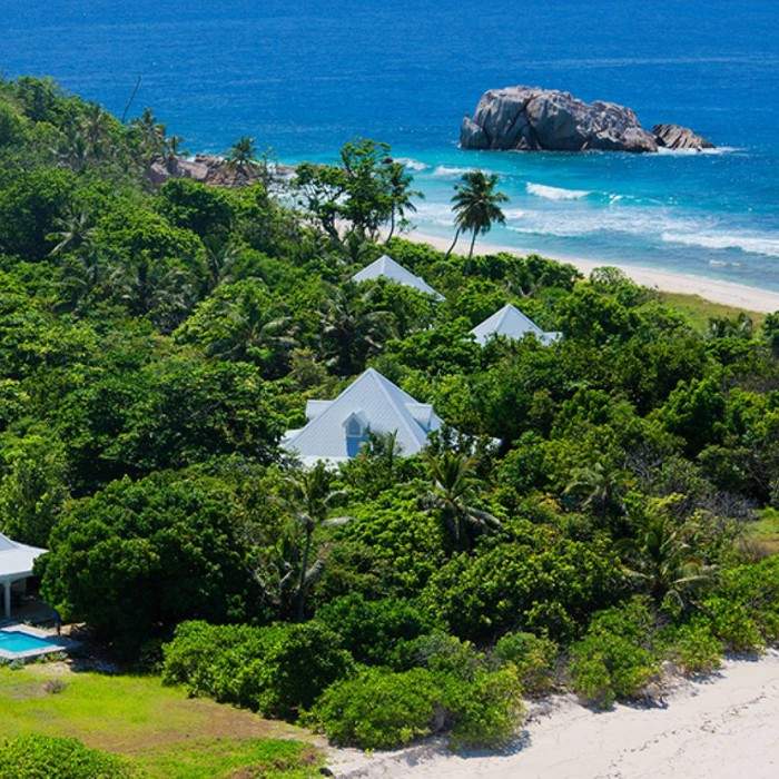 Forest Trails and Pure Relaxation