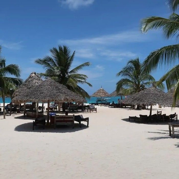 Coastal Leisure and Stone Town Exploration