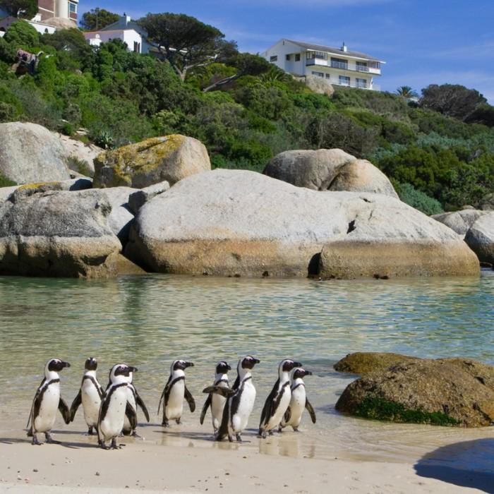 The Edge of the World 